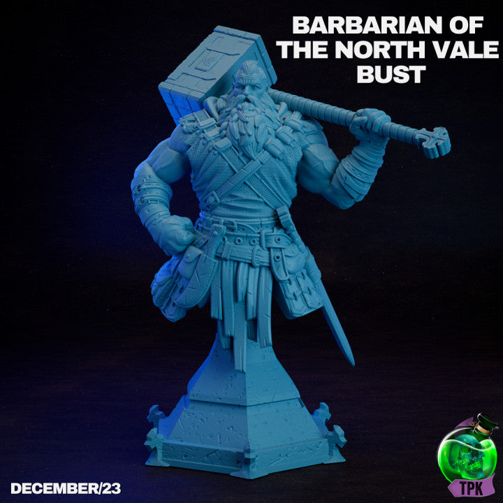 Barbarian of the North Vale Bust